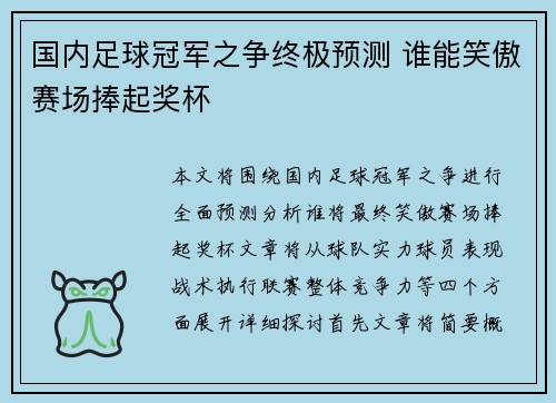 国内足球冠军之争终极预测 谁能笑傲赛场捧起奖杯