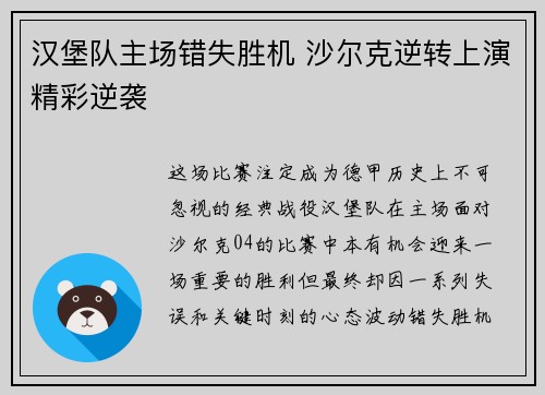 汉堡队主场错失胜机 沙尔克逆转上演精彩逆袭